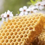 honey.9